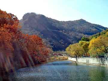 新澳天天开奖资料大全旅游团，出租泛目录